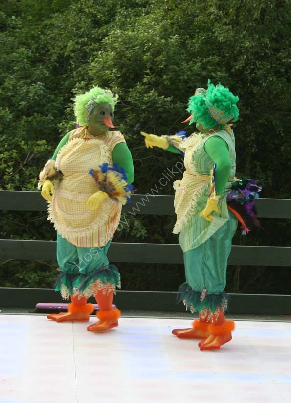Dancing Ducks